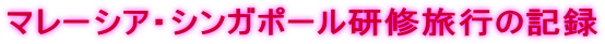 }[VAEVK|[Cs̋L^ 