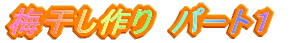 梅干し作りパート2