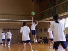 P1070249.JPG