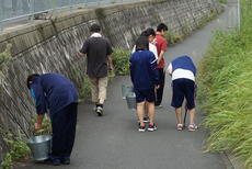 DSC06593.JPG