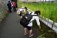 DSC06604.JPG