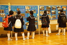 DSC06731.JPG