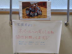 PB221087.JPG