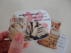 猫あつめゲーム (2).JPG