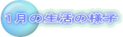 P̗̐lq