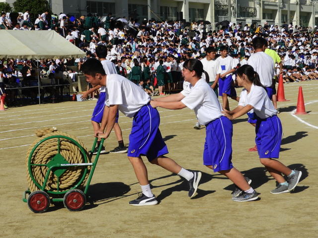 http://www.kyoto-be.ne.jp/jyouyou-hs/mt/school_life/images/191009_42%E7%B6%B1%E5%BC%95%E3%81%8D.jpg