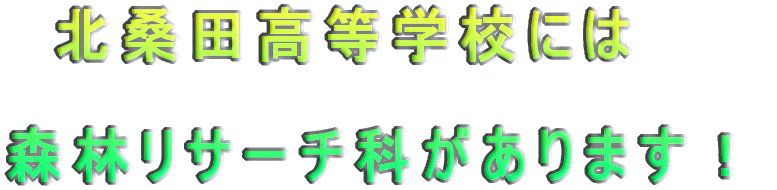 kKcwZɂ͐XуT[`Ȃ܂I 