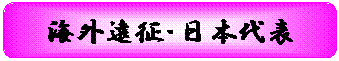 角丸四角形: 海外遠征・日本代表