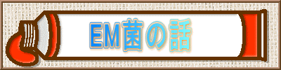 EMۂ̘b