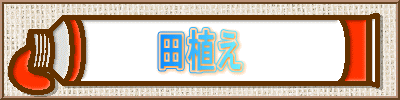 田植え