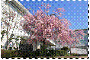 説明: 説明: 説明: 説明: 説明: image019.gif