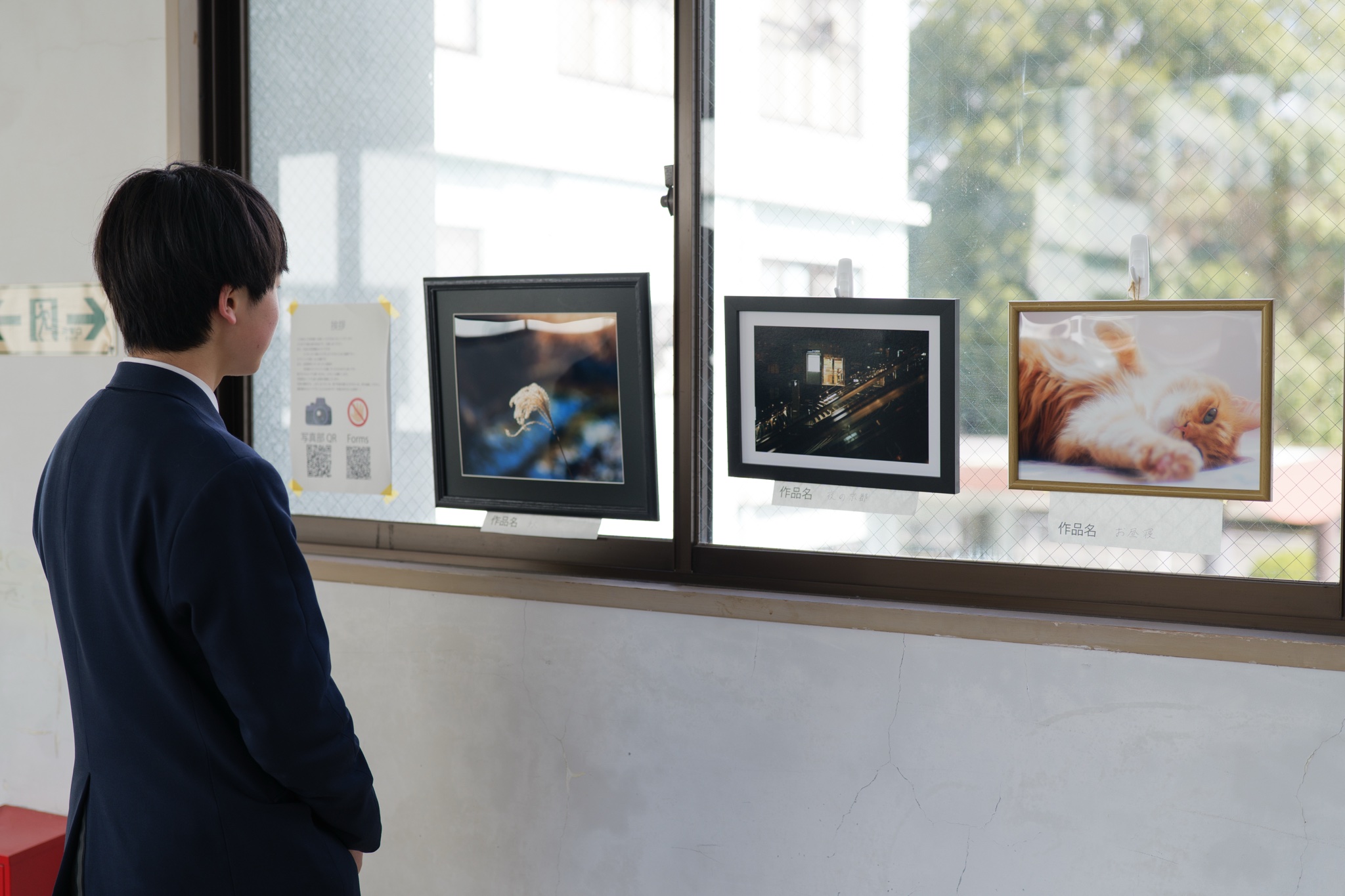写真部展示の様子