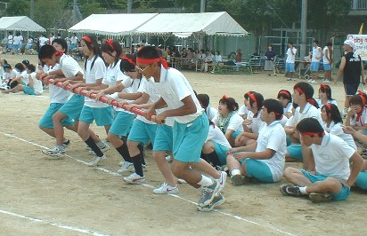 taifu.jpg