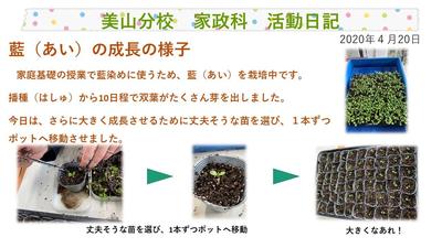 kasei-ai2.jpg