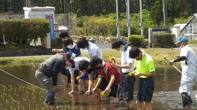 DSC_0132.JPGのサムネイル画像