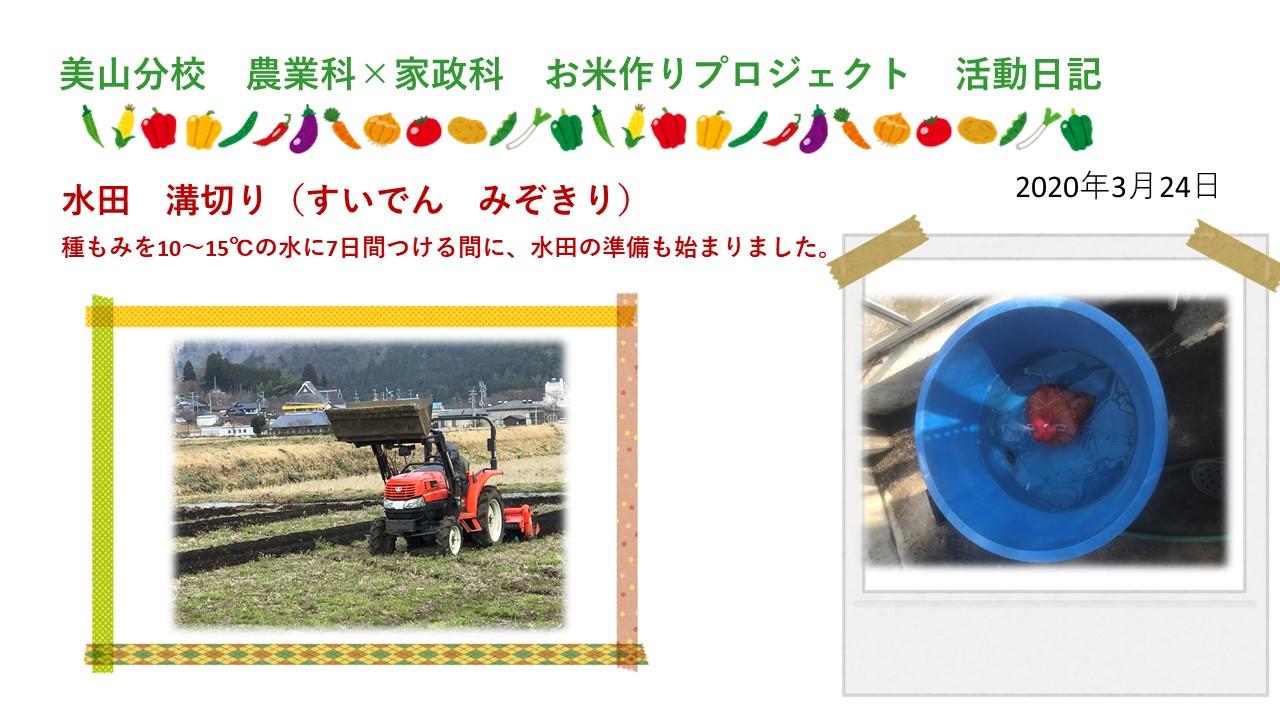http://www.kyoto-be.ne.jp/miyama-kitakuwada-hs/mt/collabo/kome-2.jpg