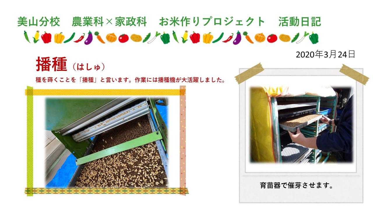 http://www.kyoto-be.ne.jp/miyama-kitakuwada-hs/mt/collabo/kome-3.jpg