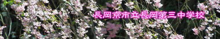 sOwZ