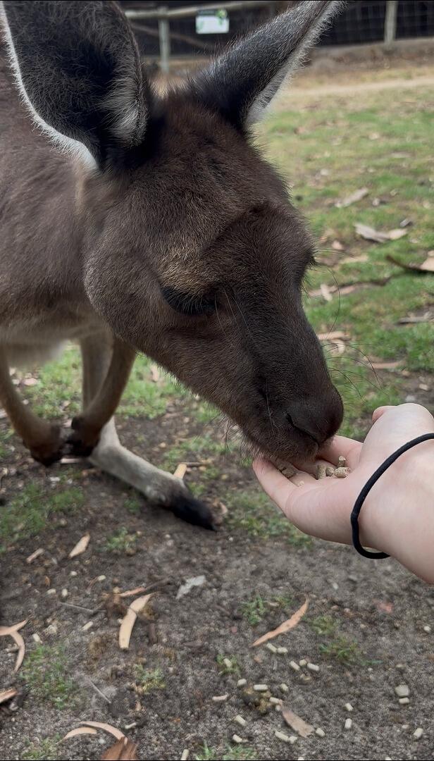 1年1組_HR_小島 千夏_2026年2月4日写真_11.jpg