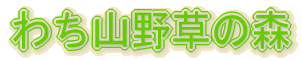 킿R쑐̐X 