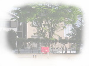 nh{[R[g