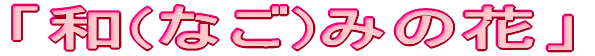 ua(Ȃ)݂̉ԁv