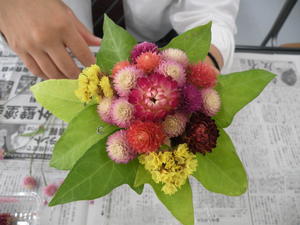 DSCN4793.JPGのサムネイル画像