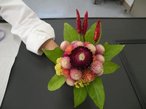 DSCN4794.JPG