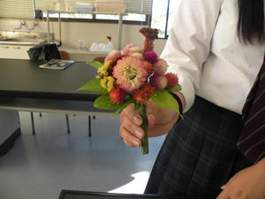 DSCN4798.JPG