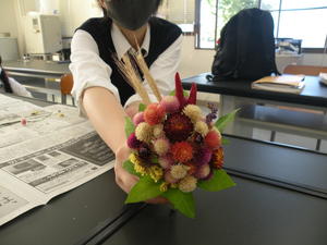 DSCN4801.JPG