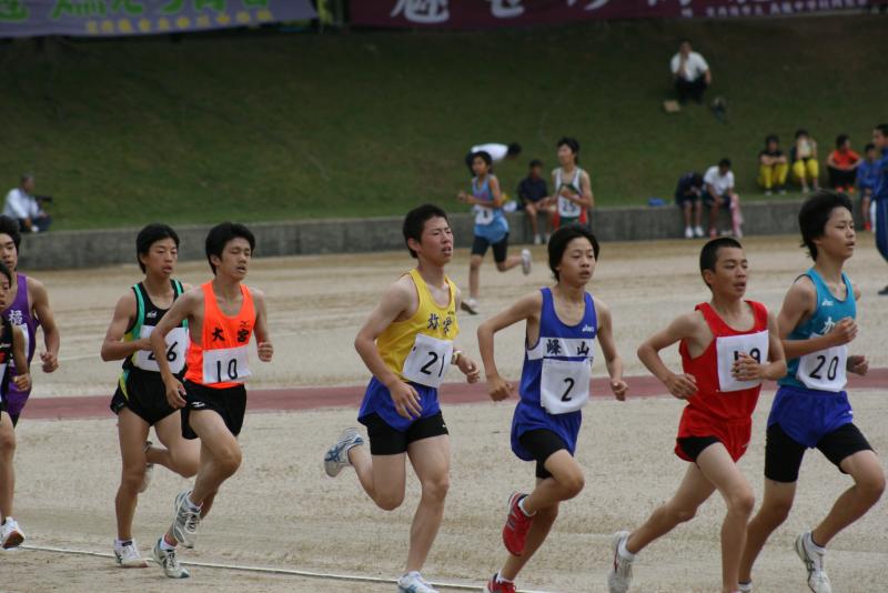 tan13