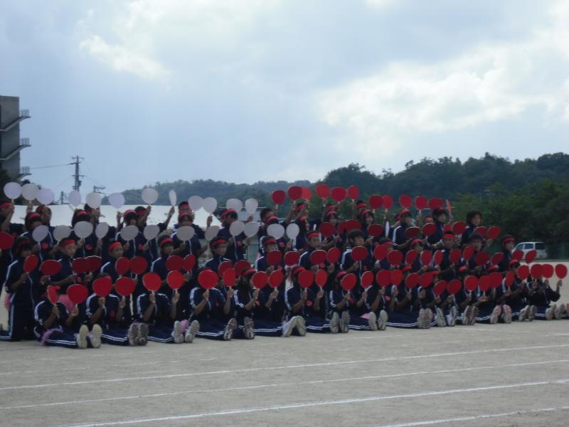 tai37