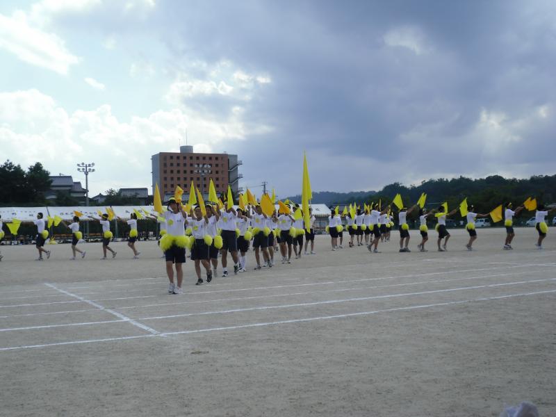 tai38