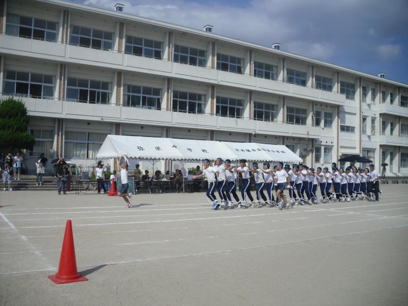 tai25