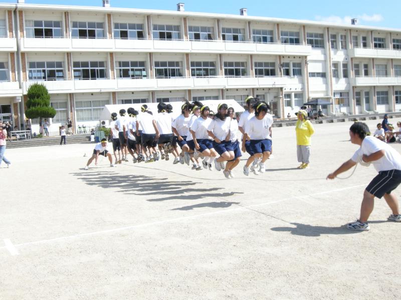 tai13