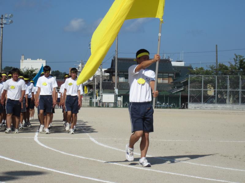 tai8