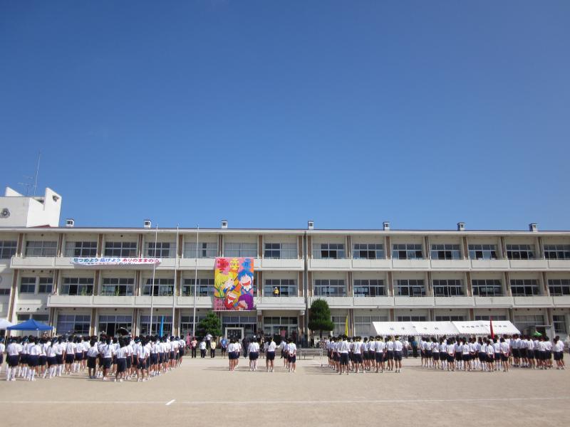 tai2