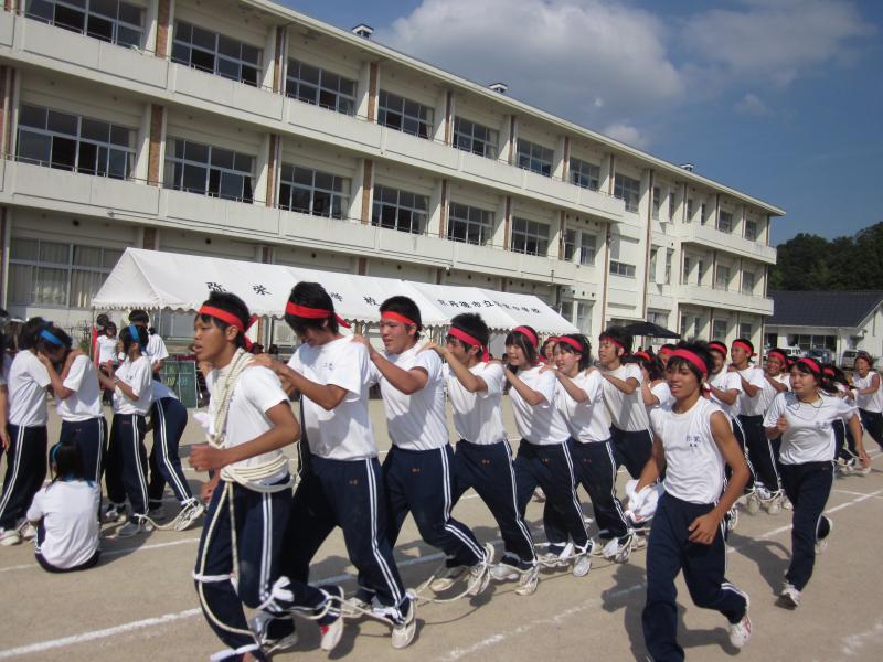tai28