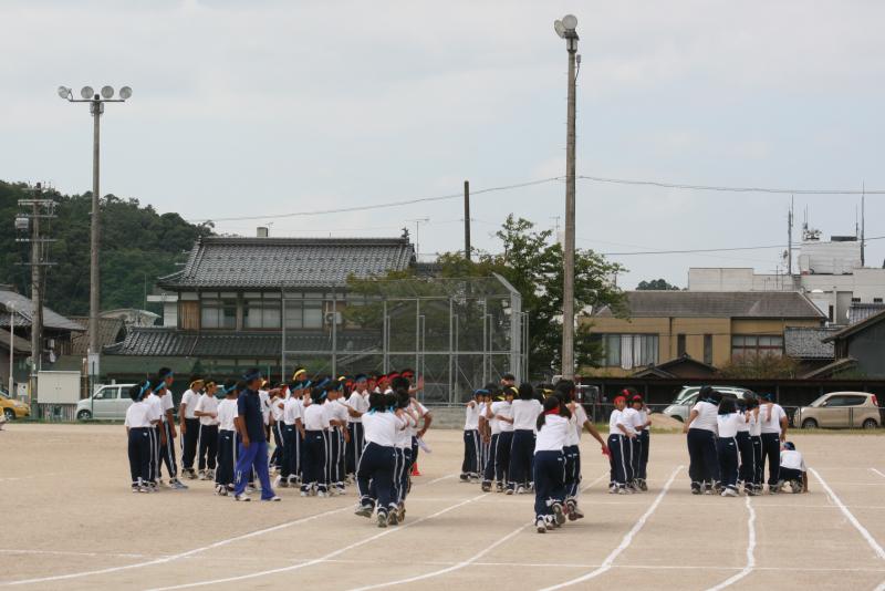 tai19