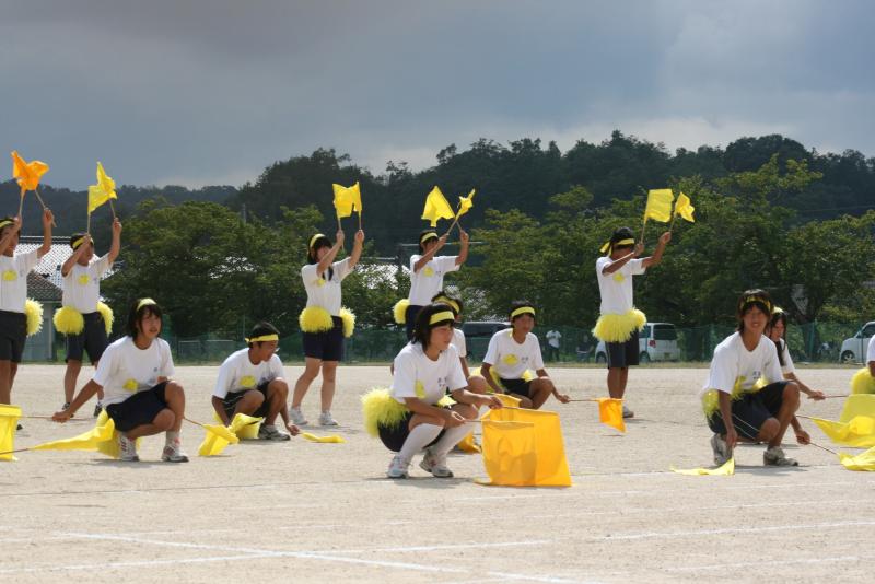tai36