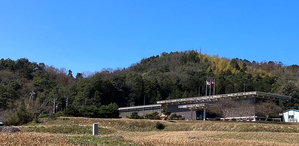 本館（南東から）