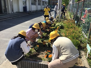 園芸委員会