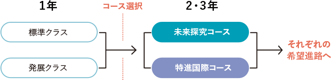 コース選択の流れ　それぞれの希望進路へ