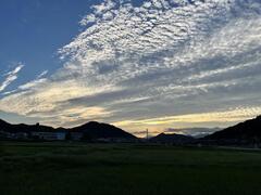 IMG_4442.JPG