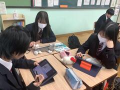 IMG_1960.jpeg