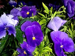 画像 -20250511-112501-dd17cb21.jpeg