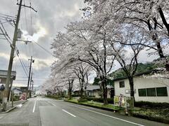 画像 -20250512-062212-7e58a51a.jpeg