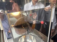 IMG_9422.JPG