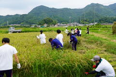 DSC00948.JPG