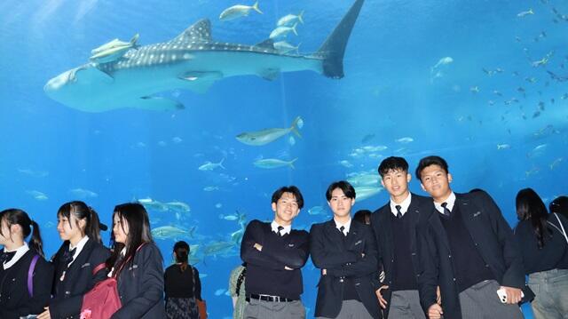 https://www.kyoto-be.ne.jp/jyouyou-hs/mt/school_life/images/6S20241203.jpg